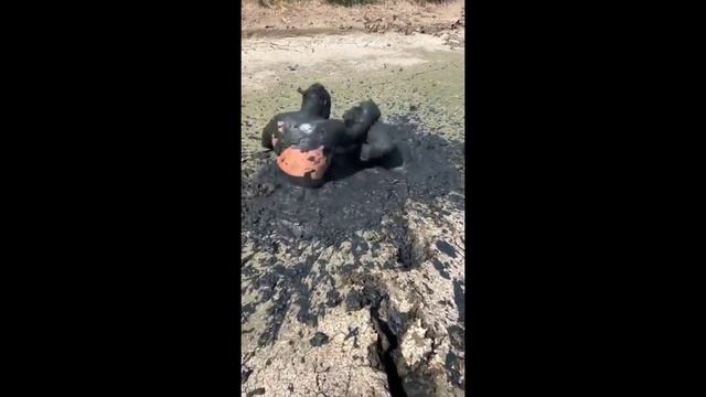Блокбастер