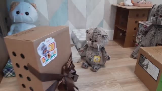 Как у нас появился Бантик!