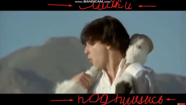 каратэ... с коровой...