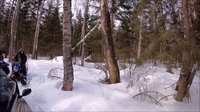СНЕГОХОД 2021. СТЕЛС СТАВР, ТУНГУС 500;600!!! ПРОТОТИП ИРБИС СФ150; СТЕЛС КАПИТАН; ДИНГО 150Т!!!