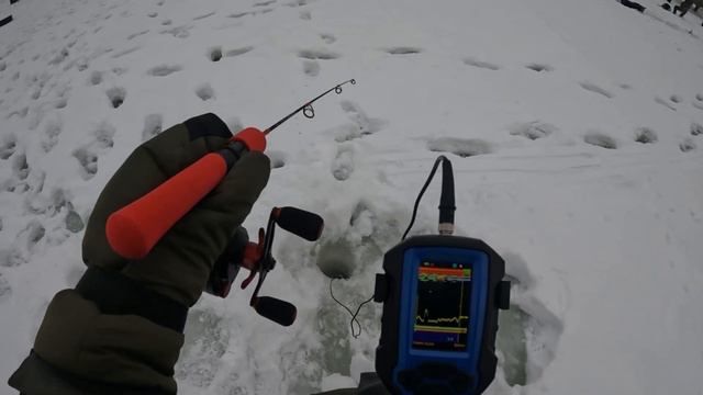 Ловля форели на вибы с помощью эхолота "Практик 8" в рыбном хозяйстве "Лепсари", г. Санкт-Петербург