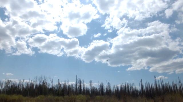 MARLIN MP 9.9 (15) AMHS PROLIN  Обкатка нового мотора.#1