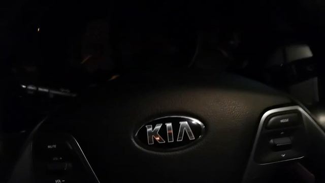 Адаптация дроссельной заслонки Hyundai Solaris и Kia Rio за 15-ть минут.