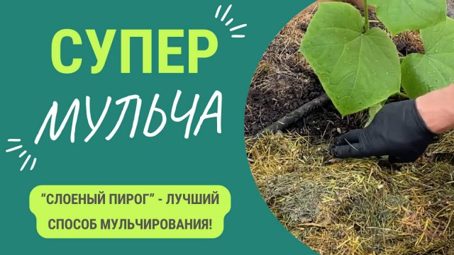 Слоеный пирог для почвы. Ускоряет рост растений и улучшает почву!