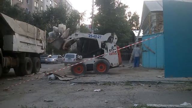 Бобкет выпендривается