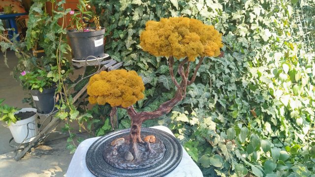 Дерево своими руками из цемента и мха