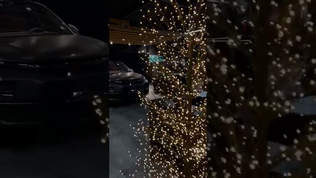 Идеальный Светодиодный декор
