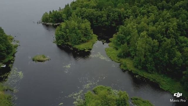 База отдыха Тихая Гавань
