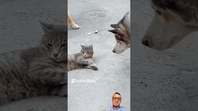 Отбоялся😅
