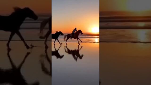 СООБЩЕСТВО СВЕТА. ПОЗИТИВНЫЕ ЛЮДИ ЭТО БУДУЩЕЕ.