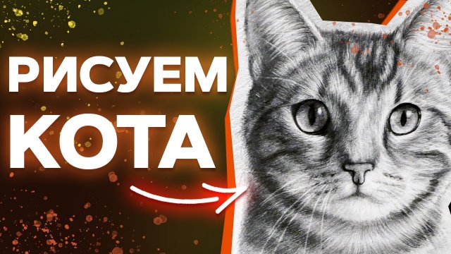 Как реалистично нарисовать кота? / Рисуем славного котика карандашом