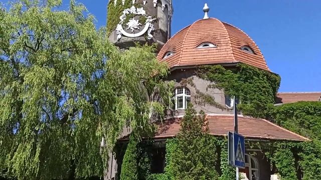 Калининград (Светлогорск) Калининградская обл.лето 2020.