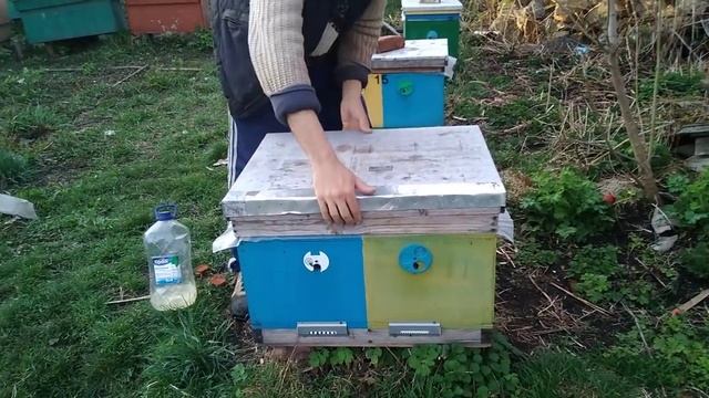 Улей с фанеры.СЛОИТСЯ ФАНЕРА или нетПреимущества фанерных ульев и недостатки