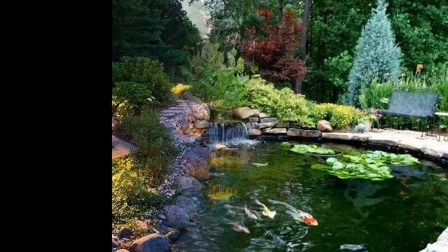ДЕКОРАТИВНЫЕ ПРУДЫ И ВОДОПАДЫ В ЛАНДШАФТНОМ ДИЗАЙНЕ / РОСКОШЬ И УЮТ / a water garden⛲