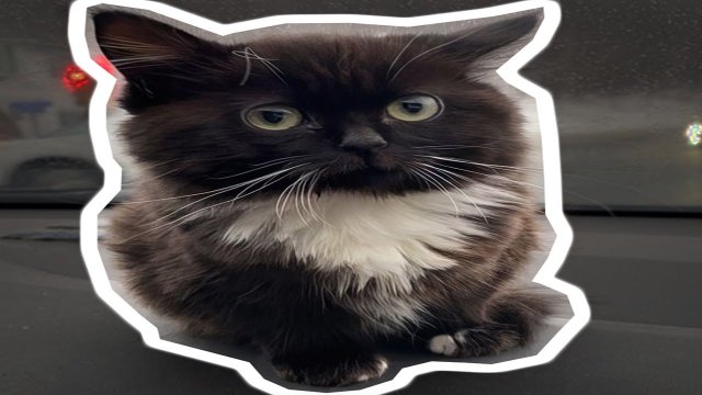 ЧМОНЯ — ОТКУДА МЕМ?