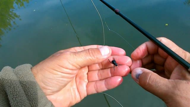 Поездка на Кубню и рыбалка нахлыстом