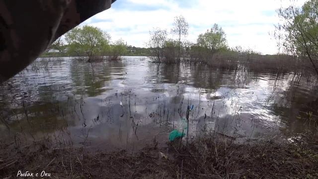 Рыбалка на Оке на Поплавок 29 апреля! ВОТ ЭТО КЛЕВ! Рыбалка в Рязанской области 2023!
