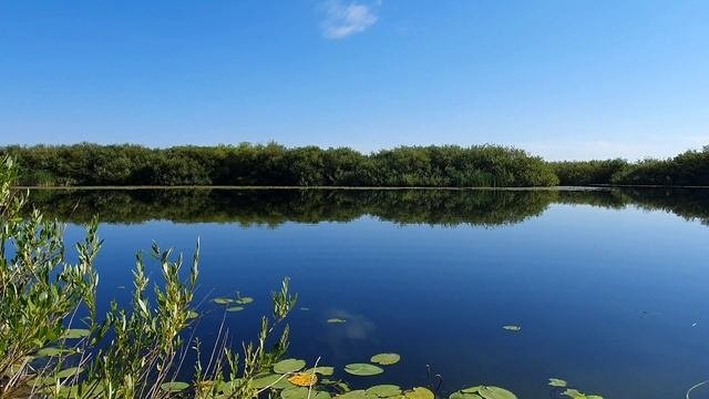 Тургай 2022