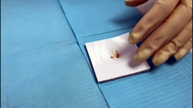 Any-Temp. Учебный центр.