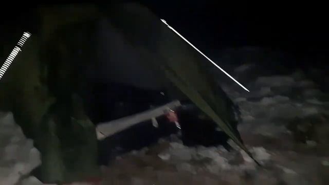 Ночь в зимнем лесу / Ужасный вой неизвестного зверя!