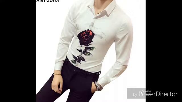 Яблоко любви красно алые 2019 год