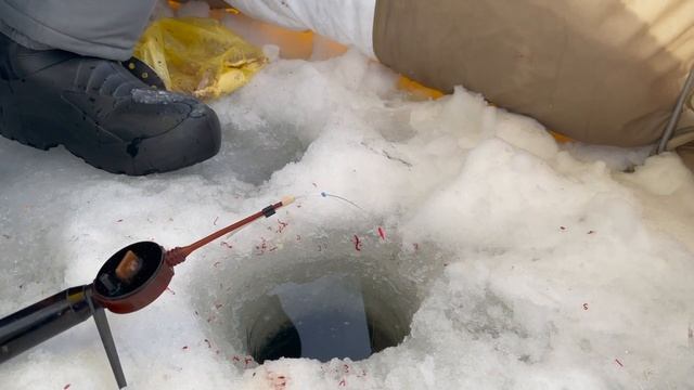 Зимняя рыбалка на Селигере (2023)