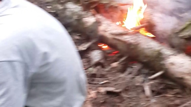 Отдых в лесу