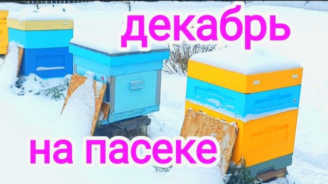 Зимовка пчёл, декабрь ! Есть ли влага под плёнкой? ПЧЕЛОВОДСТВО!