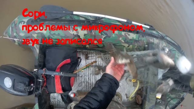 Рыбалка на хапугу хлопок, летом с лодки  ПВХ Штурман, Рыбалка на Амуре, с fishermandv.27rus,