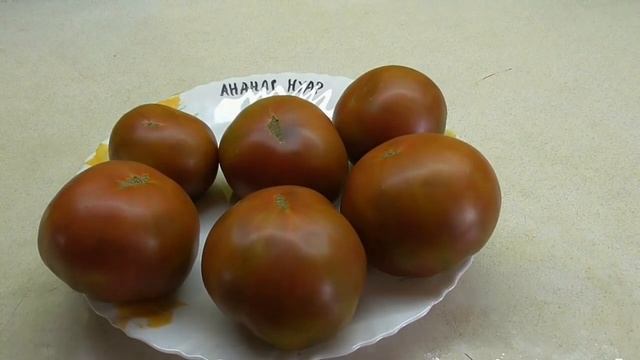 Экзотический томат Ананас Нуар (Ananas Noire, США). Обзор рассады и спелых плодов. Ольга Чернова.