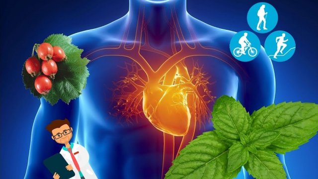 Четыре народных средства для лечения серьёзных заболеваний сердца и сосудов! Советы травницы!
