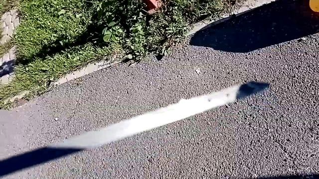 Самая Чёткая.. Проверка уровня жидкости вариатора... Хонда фрид Спайк гибрид...