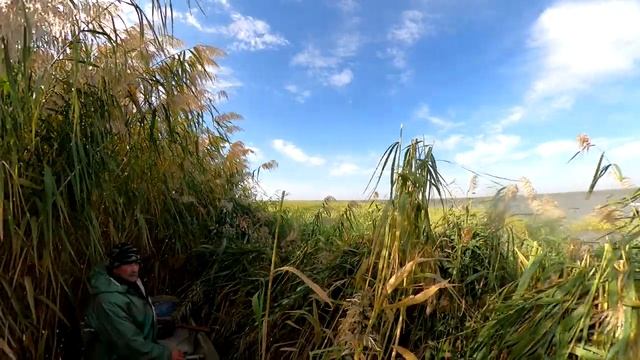 Море-Утки-Два ствола. Охота на утку в октябре.