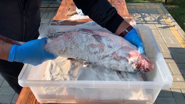 СУХОЙ ПОСОЛ РЫБЫ. Как засолить КРУПНУЮ и СРЕДНЮЮ рыбу. Солёный толстолобик.
