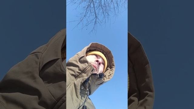 Хищники!@хищники