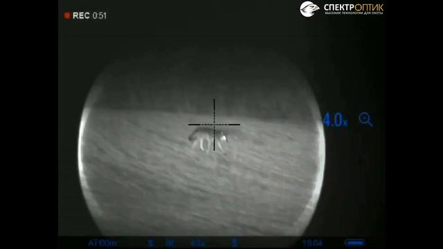 Ночная охота на волка 2021. Точный выстрел в кадре