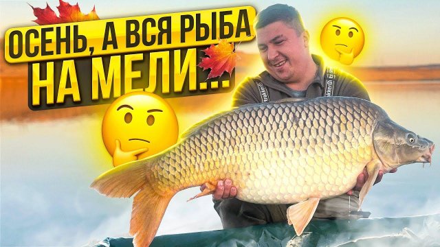 ВСЕ ХОТЕЛИ НА ДАМБУ, А ТРОФЕЙНЫЙ КАРП НА МЕЛИ. Осенняя ловля карпа по холодной воде.