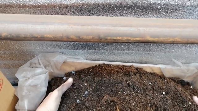 Как я готовлю грунт для пеларгонии