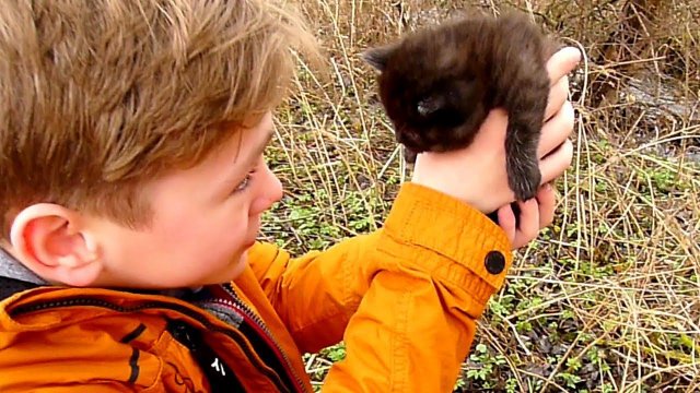 Коля СПАСАЕТ ЗАМЁРЗШЕГО ПОЛУЖИВОГО котёнка. Но ЗАХОЧЕТ ли Никиса стать МАМОЙ для малыша?