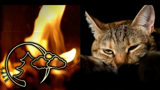 Релакс, Мурлыканье кошки у камина для сна Исцеляющее Мурлыканье. A purring cat next to the fireplace