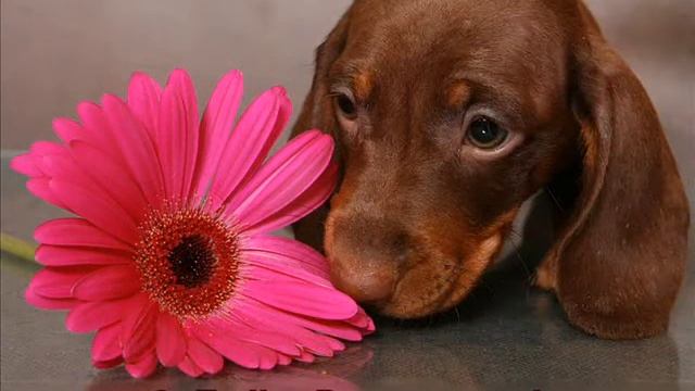 С днём рождения, Марина Анатольевна!