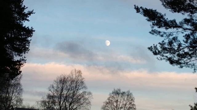 Луна и солнце одновременно - Moon and sun at the same time
