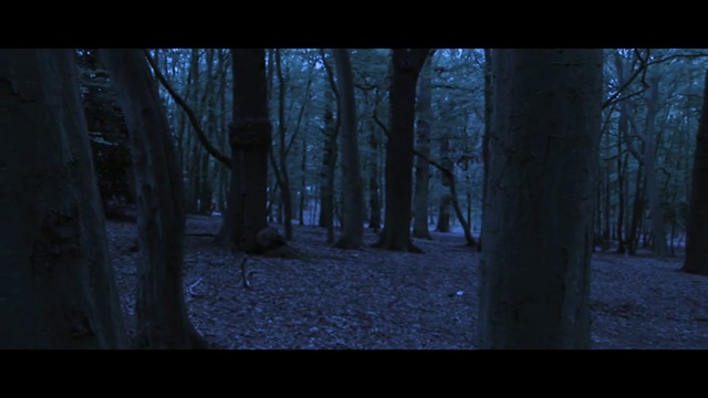 Охота за Голлумом / The Hunt for Gollum (фильм без перевода)