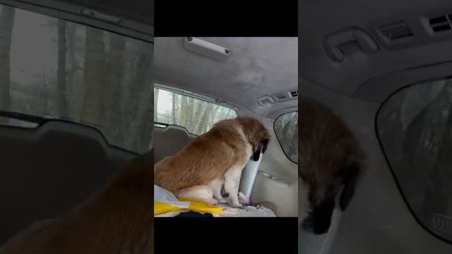 ???????????