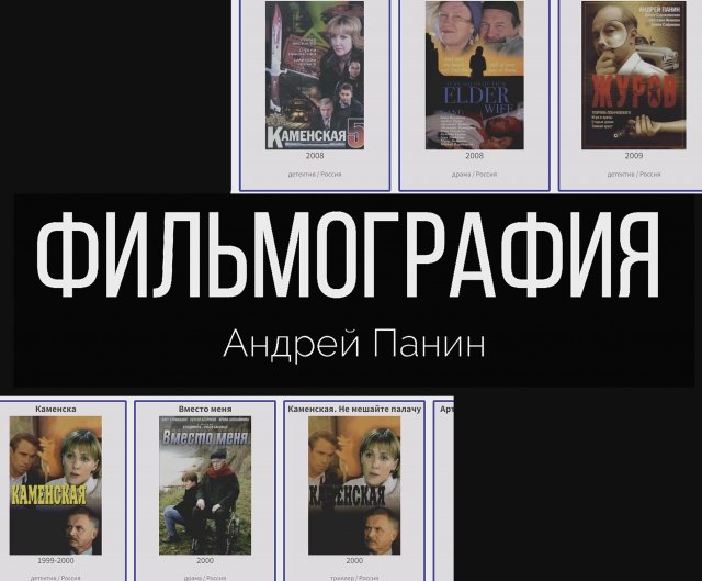 В каких фильмах снимался Андрей Панин