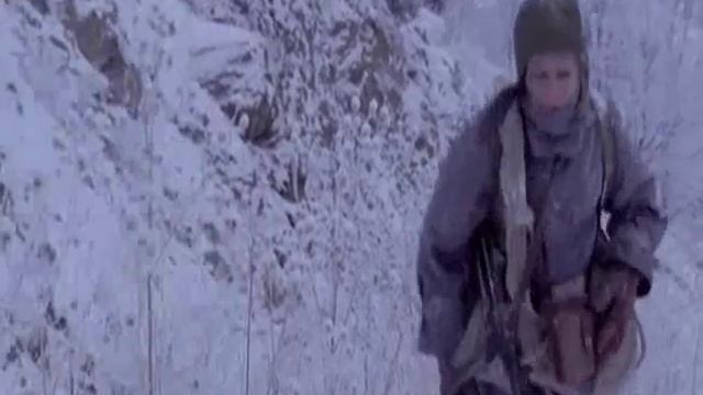 сволочи /кот и тяпа/ - я буду рядом