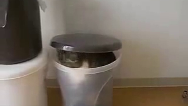 кот-Маруууу))) Хочу такого же!!!