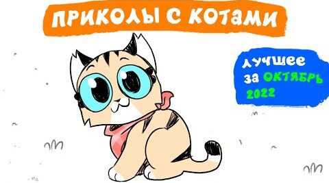 Приколы с котами. ЛУЧШЕЕ ЗА ОКТЯБРЬ 2022|Мемозг