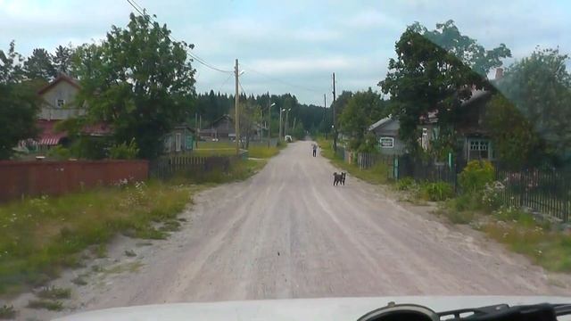 Как живут потомки Карелов. Карельская деревня. Ягоды Карелии. Как заработать деньги.