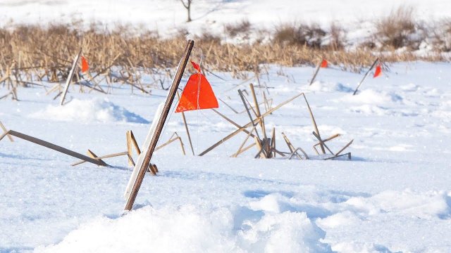 Щука на жерлицы в глухозимье. С таким жором первый лед не нужен!